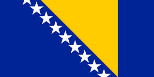 logo bih
